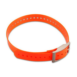 Hundehalsband Orange (2,5cm)